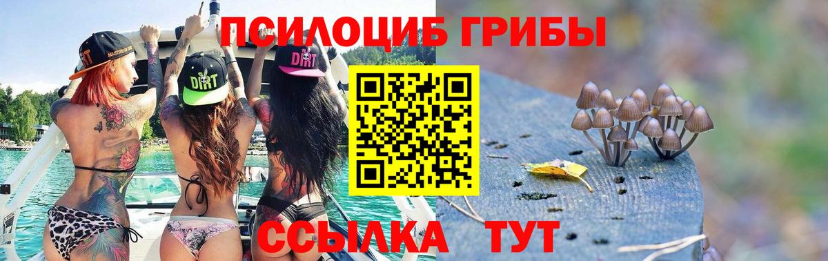 Псилоцибиновые грибы ЛСД Губкинский